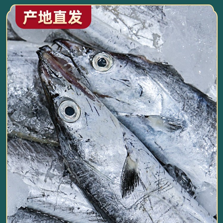福建连江 野生小带鱼（称4斤杀完3斤～3.3斤左右）