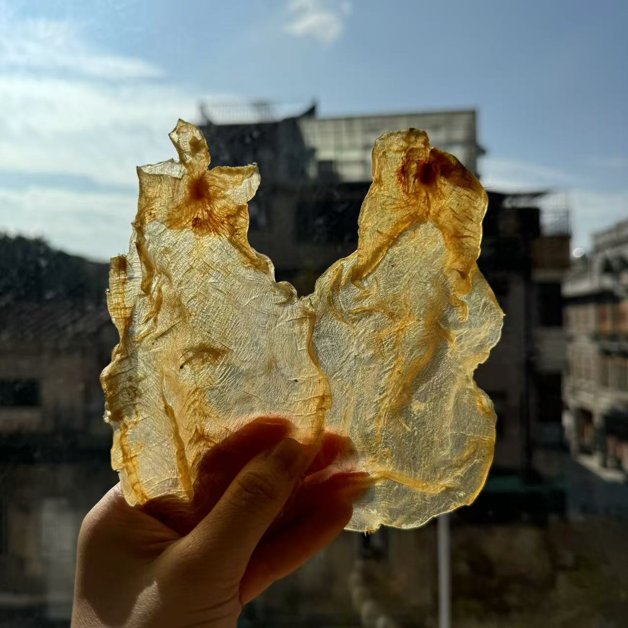 H215622  裕初 甲肚片250-500g 鱼胶 花胶 炖鸡汤清水 广东汕头