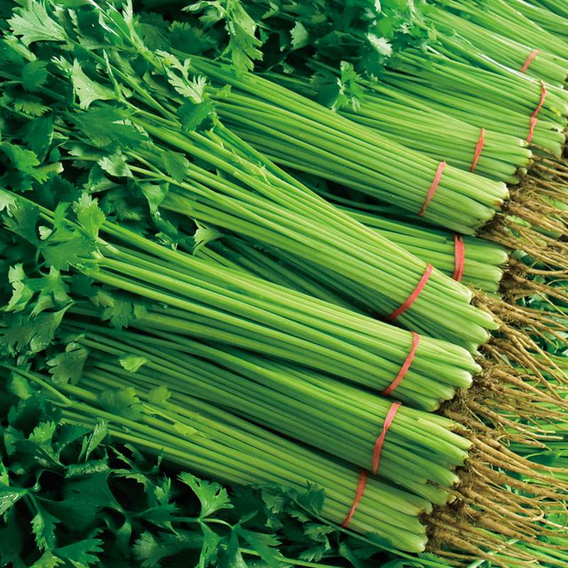 香芹300g
