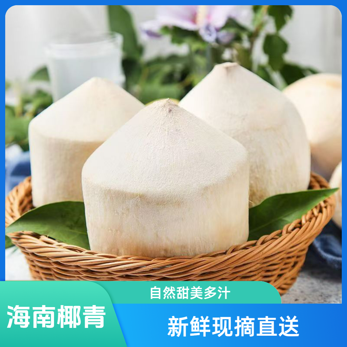 新鲜海南椰子削皮椰青4个装天然口感坏果包赔坏果包赔