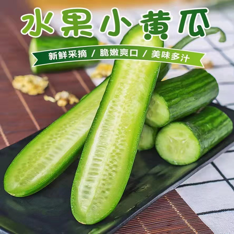 忆陇甜新鲜采摘水果黄瓜口感清脆爽口3斤/5斤农家种植京东包邮