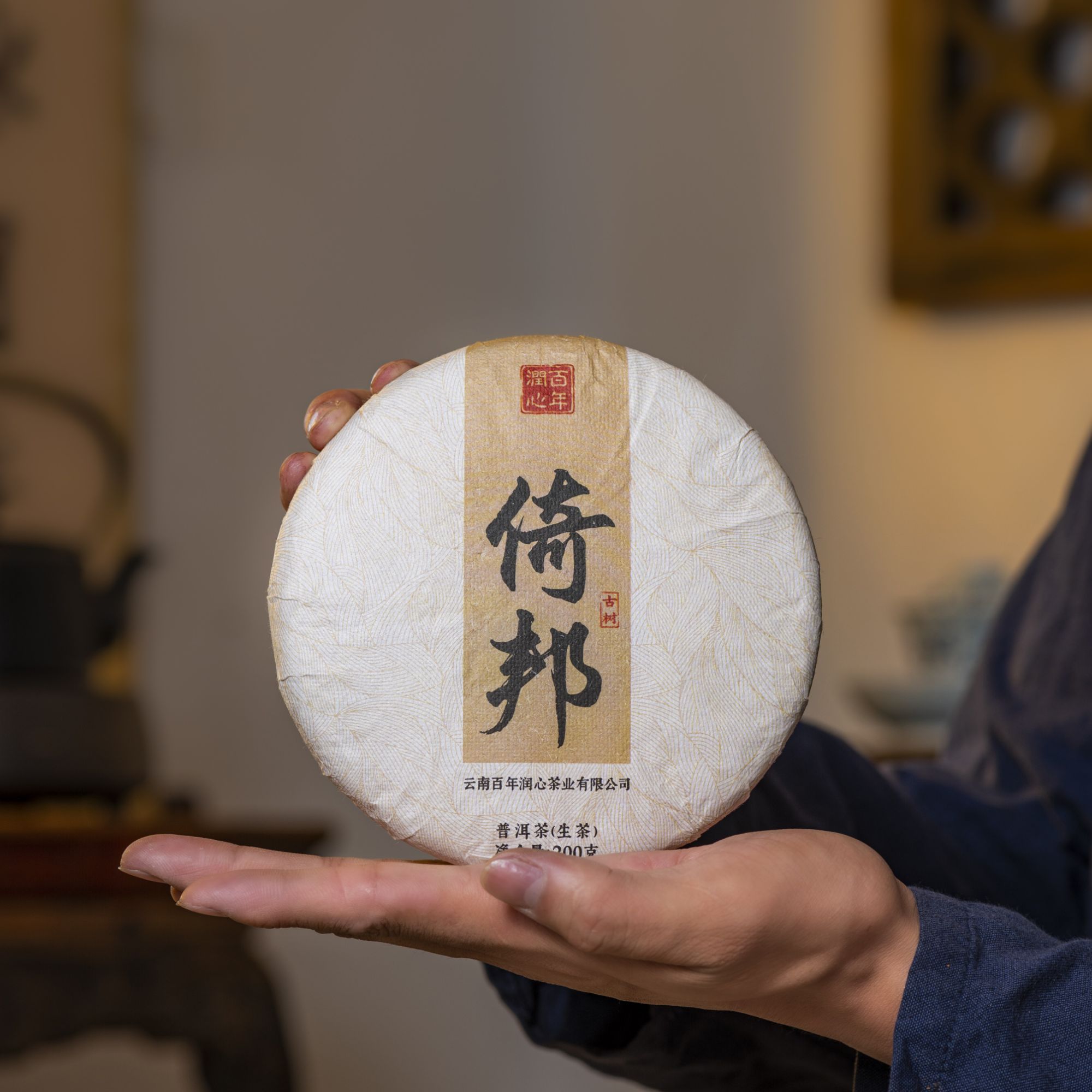 2023 倚邦大黑森林 头春头采古树挑采 普洱生茶200克