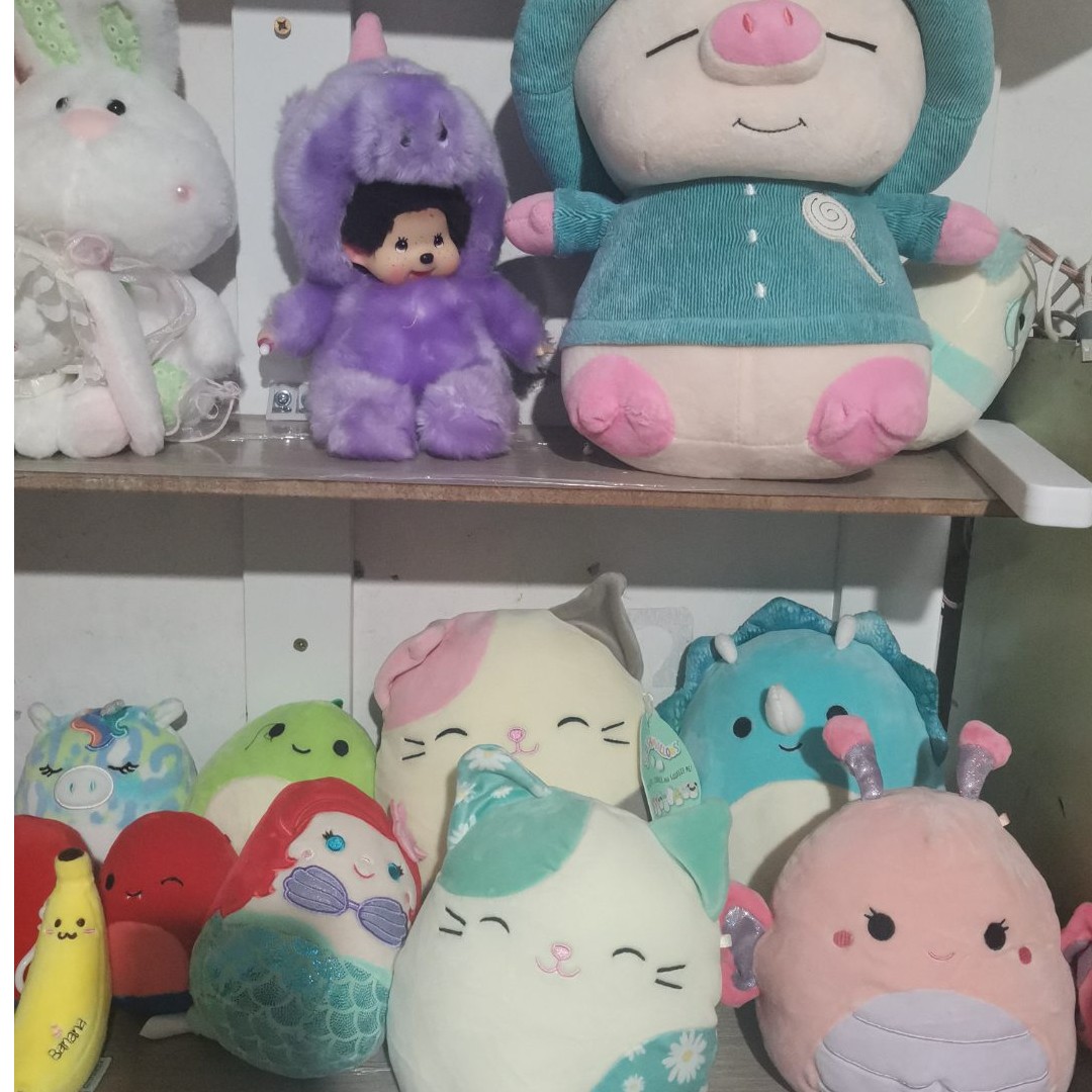 中古毛绒玩具库存尾货，谨慎下单，no退no换
