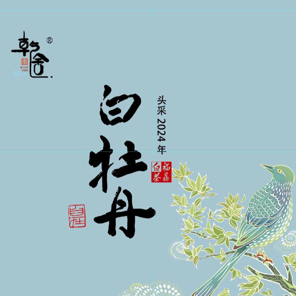 乾舍花香白牡丹头采/福鼎白茶