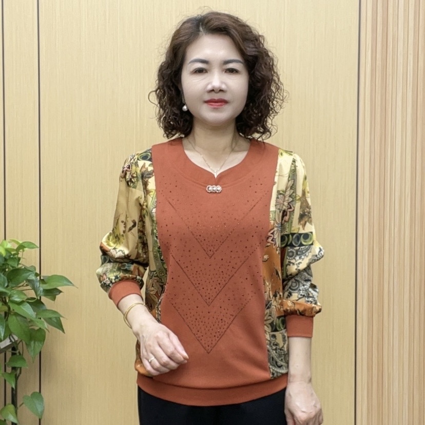 2024秋季时尚新款妈妈装中老年减龄百搭气质显瘦套头长袖打底衫