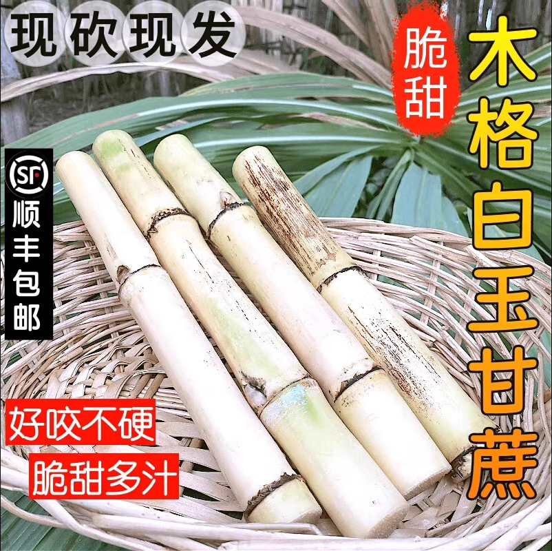 广西正宗木格白玉甘蔗新鲜现砍现发玻璃脆多汁清甜可口顺丰包邮