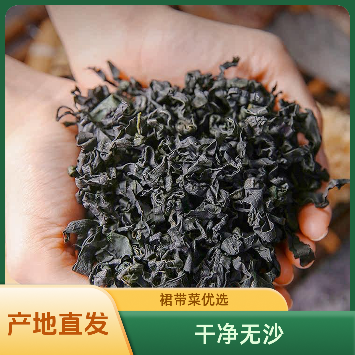 裙带菜天然免洗鲜嫩低脂凉拌优质精选品质高泡优选干净产品高品质