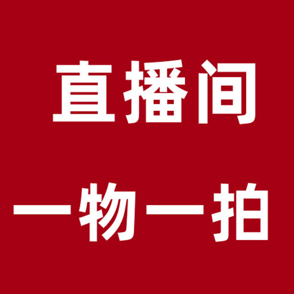 【冬日玫瑰】多头羽衣甘蓝老桩耐寒 耐热 易成活 年宵花卉