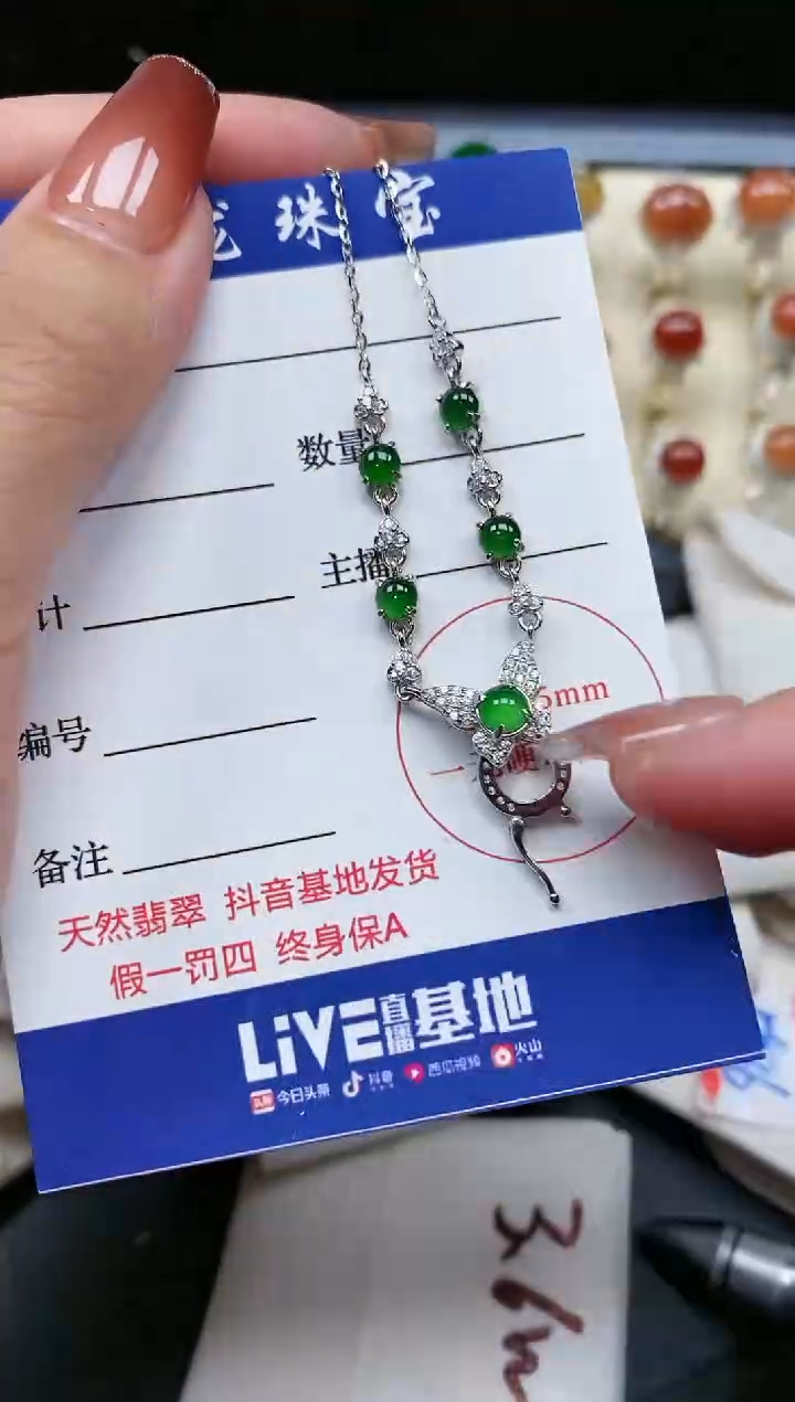 【闪购商品】翡翠颈饰银S925镶嵌1