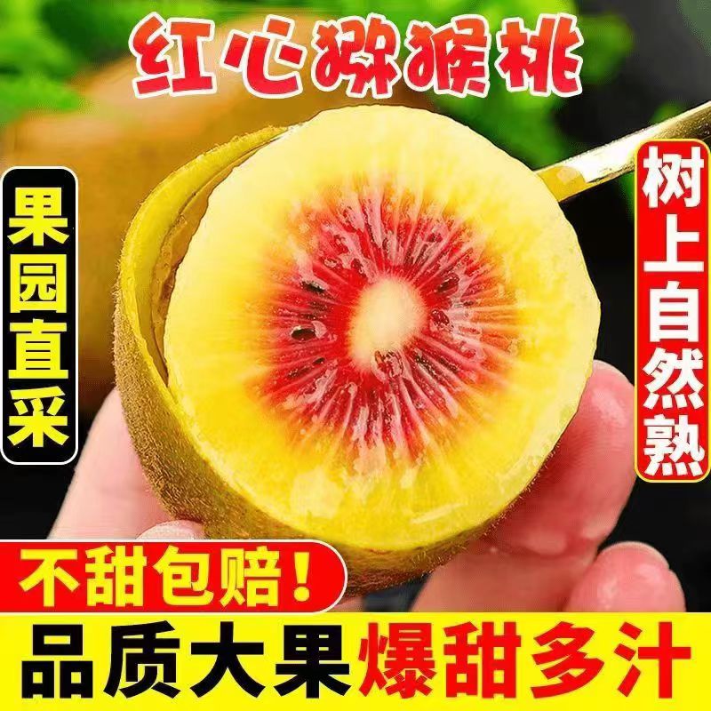 【催熟食用】红心猕猴桃12粒单果70g+新鲜猕猴桃/多仓发货