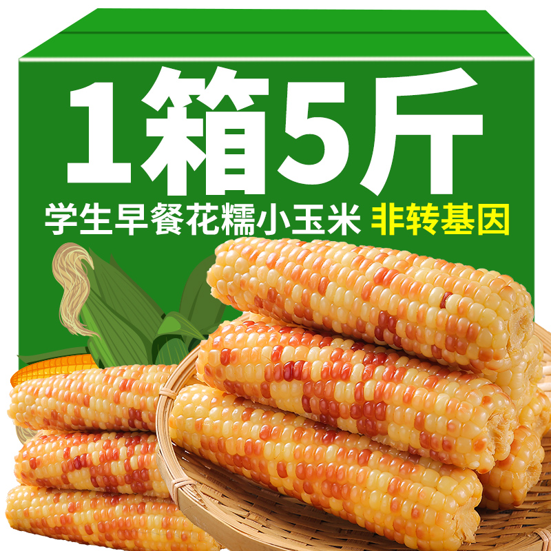 5斤 云南西双版纳香糯小玉米即食新鲜玉米真空花糯黏甜玉米棒早餐