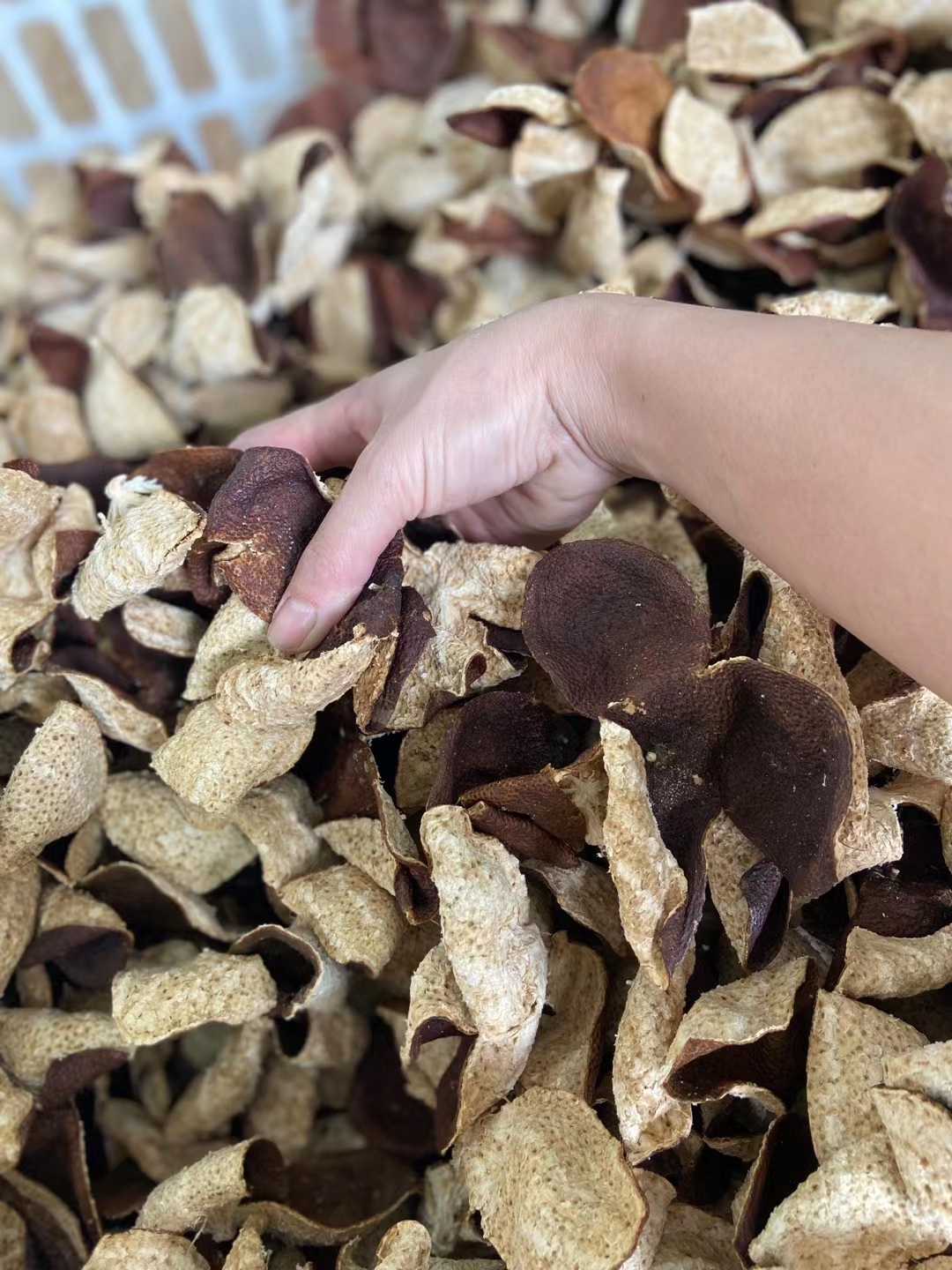 广东新会陈皮500g