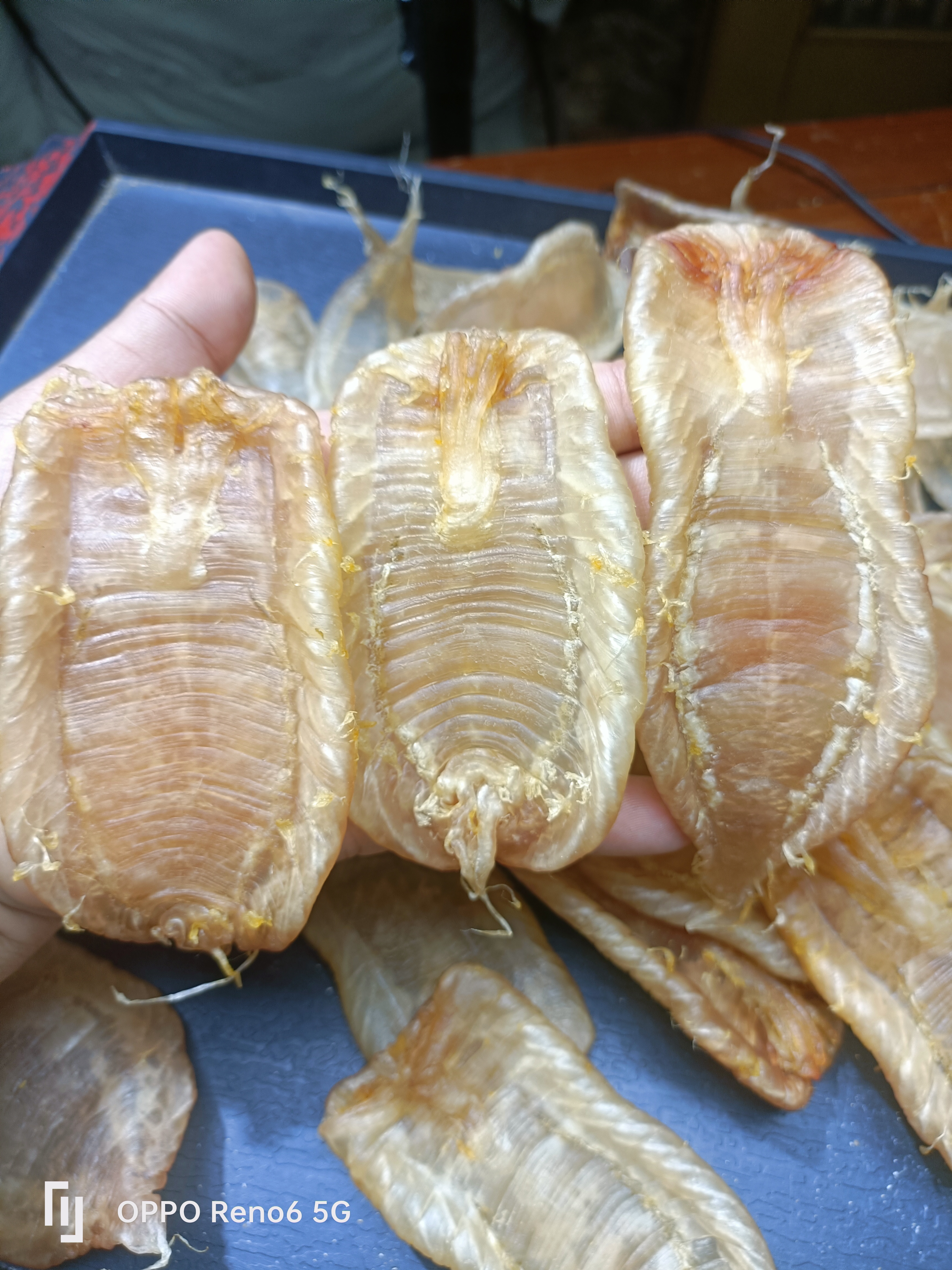 本港南澳白花1-500g月子鱼胶