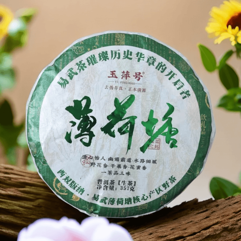 TZ玉萍号·薄荷塘野茶357g普洱生茶·一茶品三味