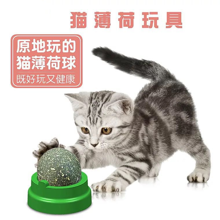 舔舔乐自粘防丢猫薄荷球猫糖磨牙棒棒糖逗猫玩具网红猫咪玩具