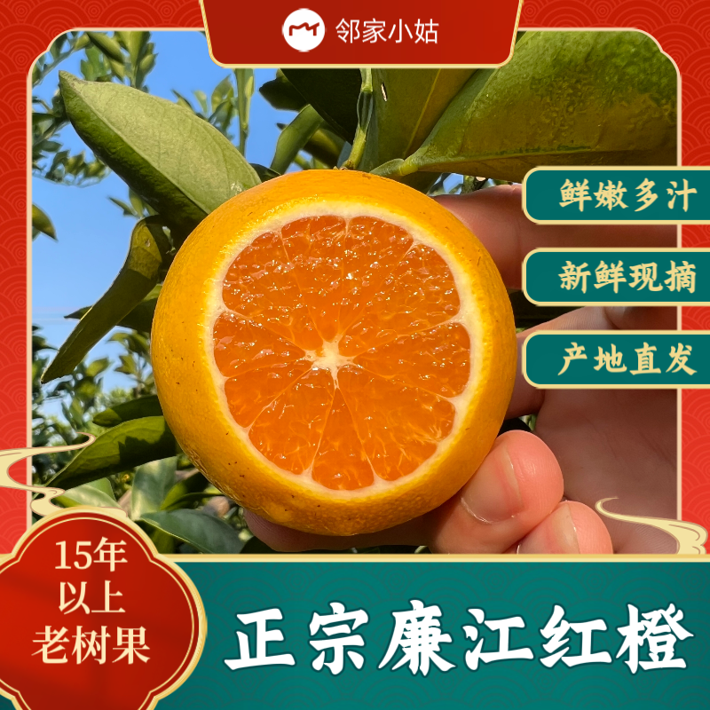 老树精品果王10斤正宗廉江红江橙新鲜采摘化渣香甜自然好吃现摘