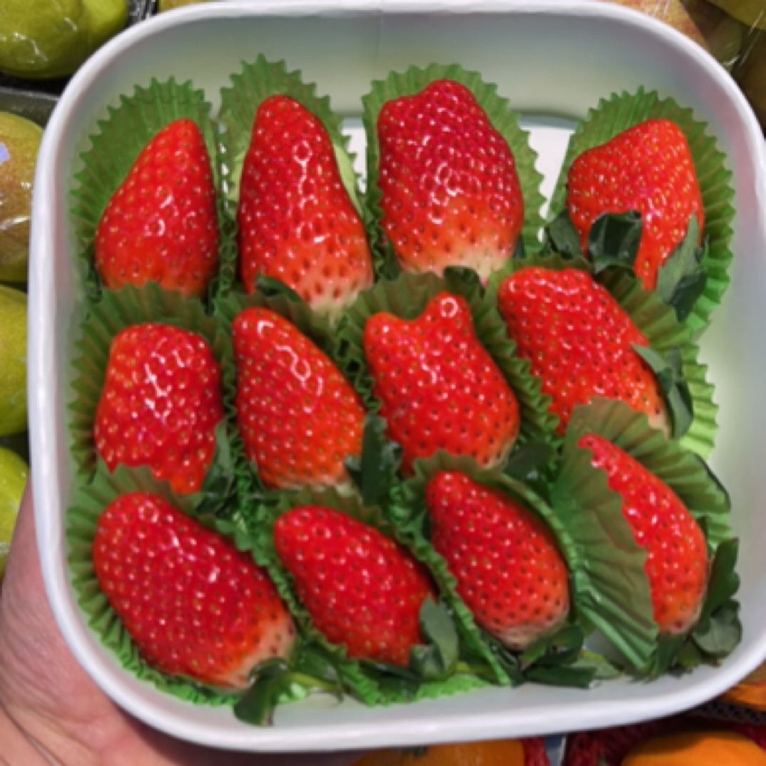 牛奶草莓（新鲜草莓味正浓）250g起