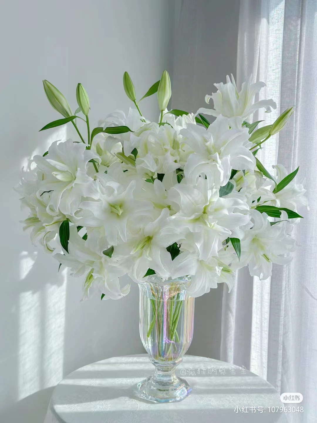 微瑕 微开百合花 天气热花开快（辽宁的可以拍，远地勿拍）顺丰包邮