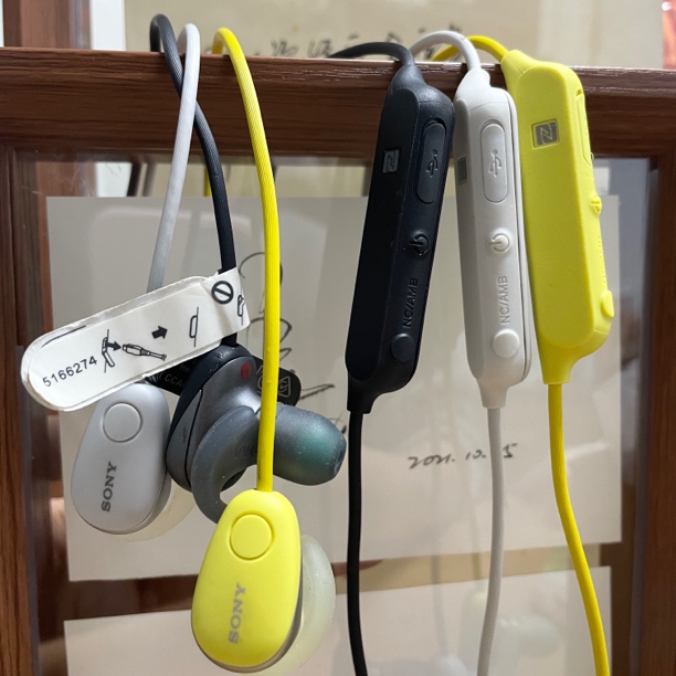 WI-SP600N 无线蓝牙降噪耳机带麦重低音运动跑步耳机