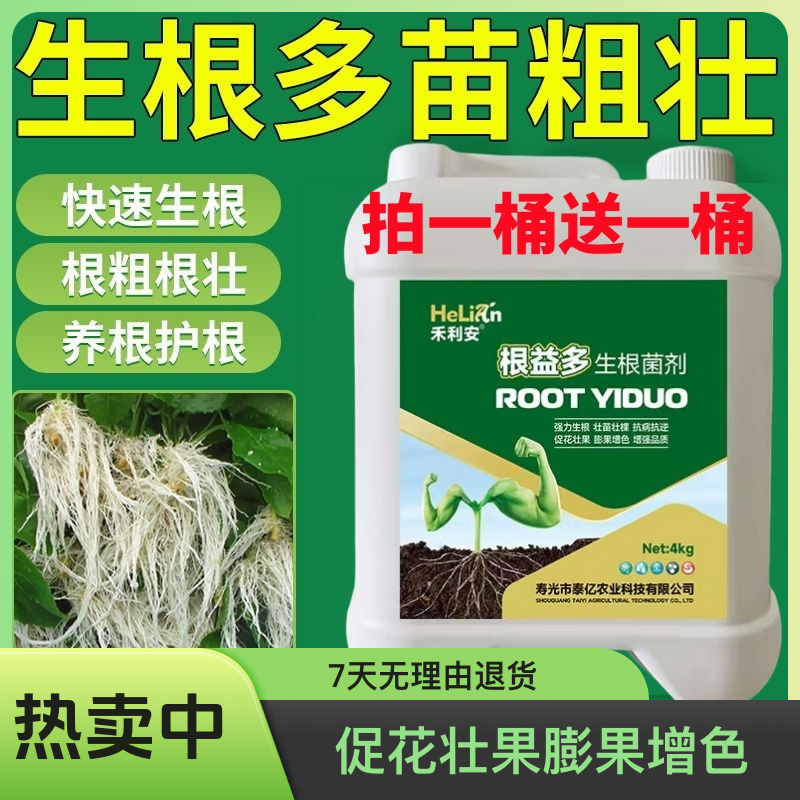大爆根原液快速生根剂猛生根壮苗水溶肥