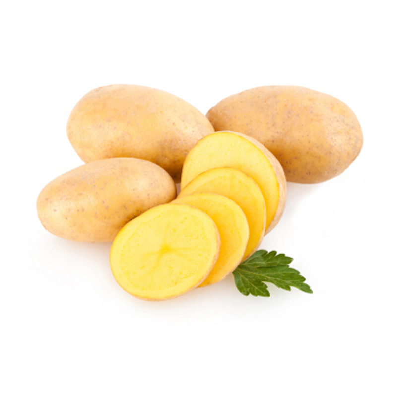 山东黄心土豆 约500g