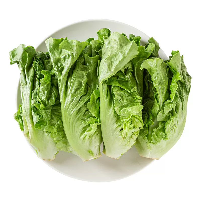 昆明生菜 约450g