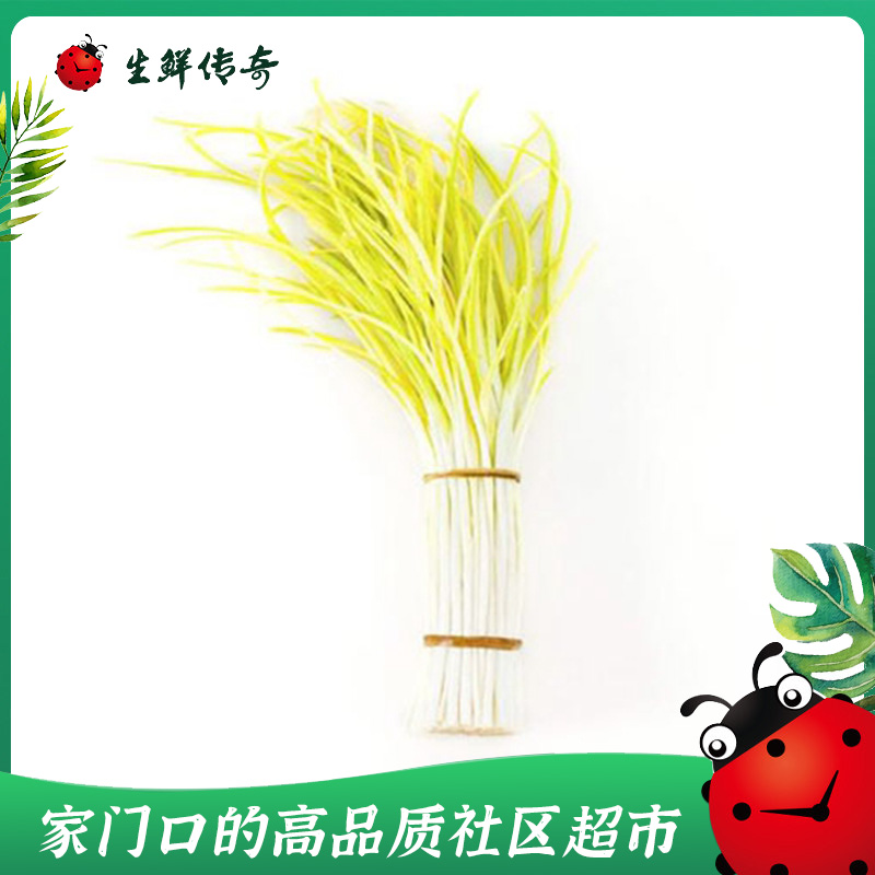 莱芜精选蒜黄 约300g