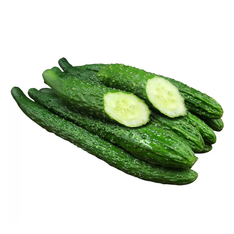 寿光黄瓜 1根 约220g