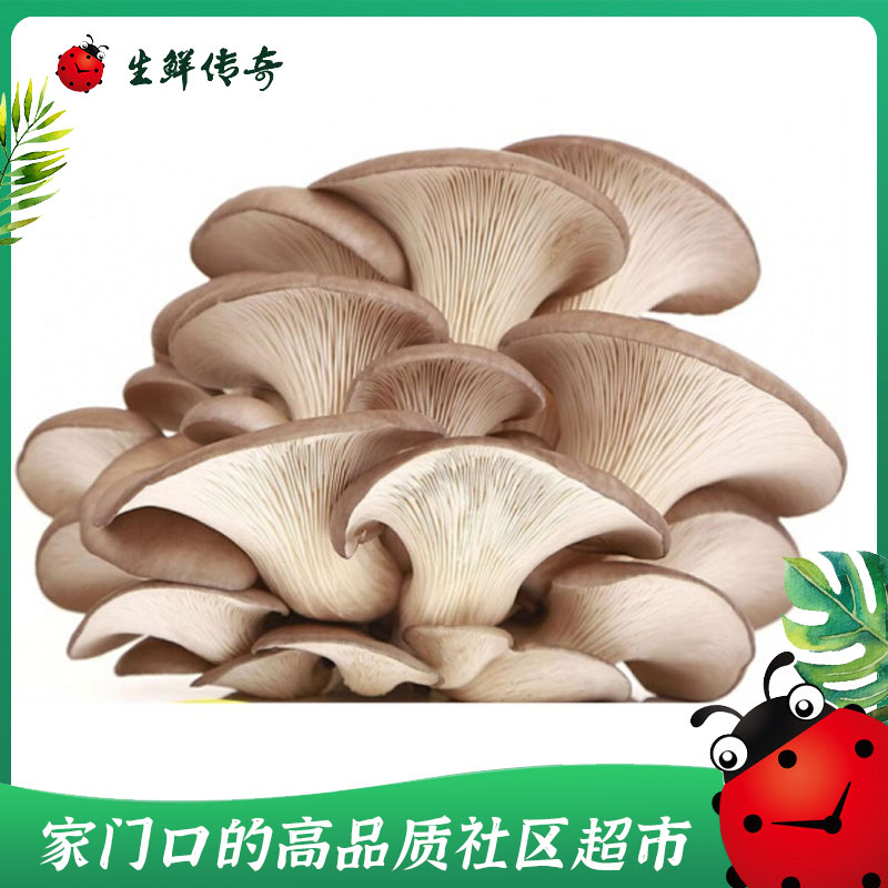 生鲜传奇精选平菇250g