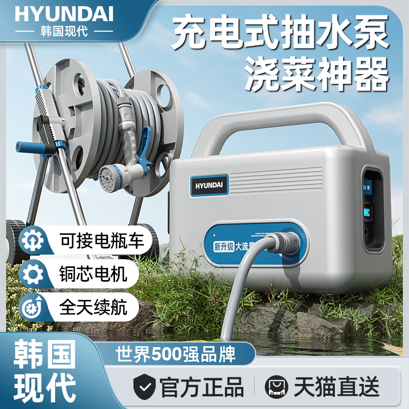 现代浇菜神器浇水机农村家用菜园灌溉浇花地充电式自动户外抽水泵