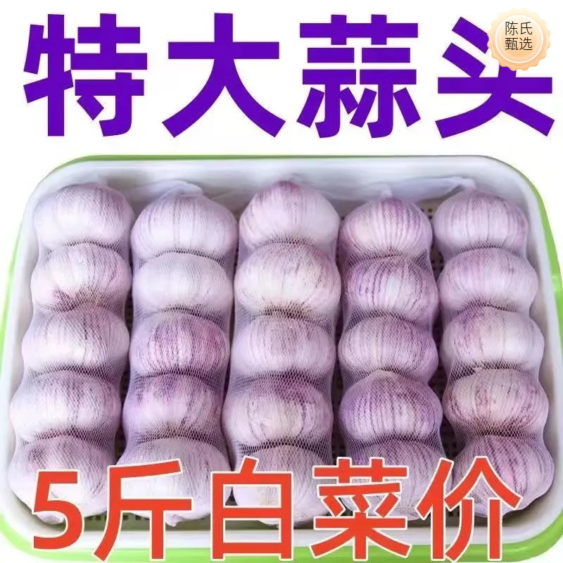 2023新干大蒜山东紫皮3斤紫皮100G紫皮蒜新鲜包邮金乡紫皮蒜