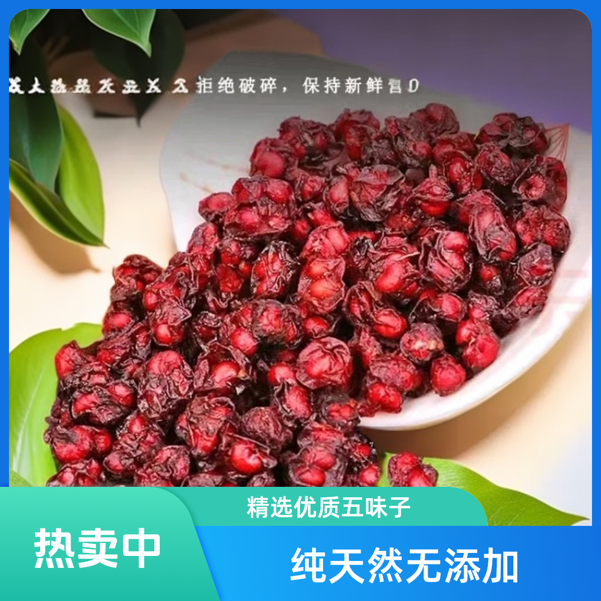 野外采摘~五味子~自然晾晒~包邮