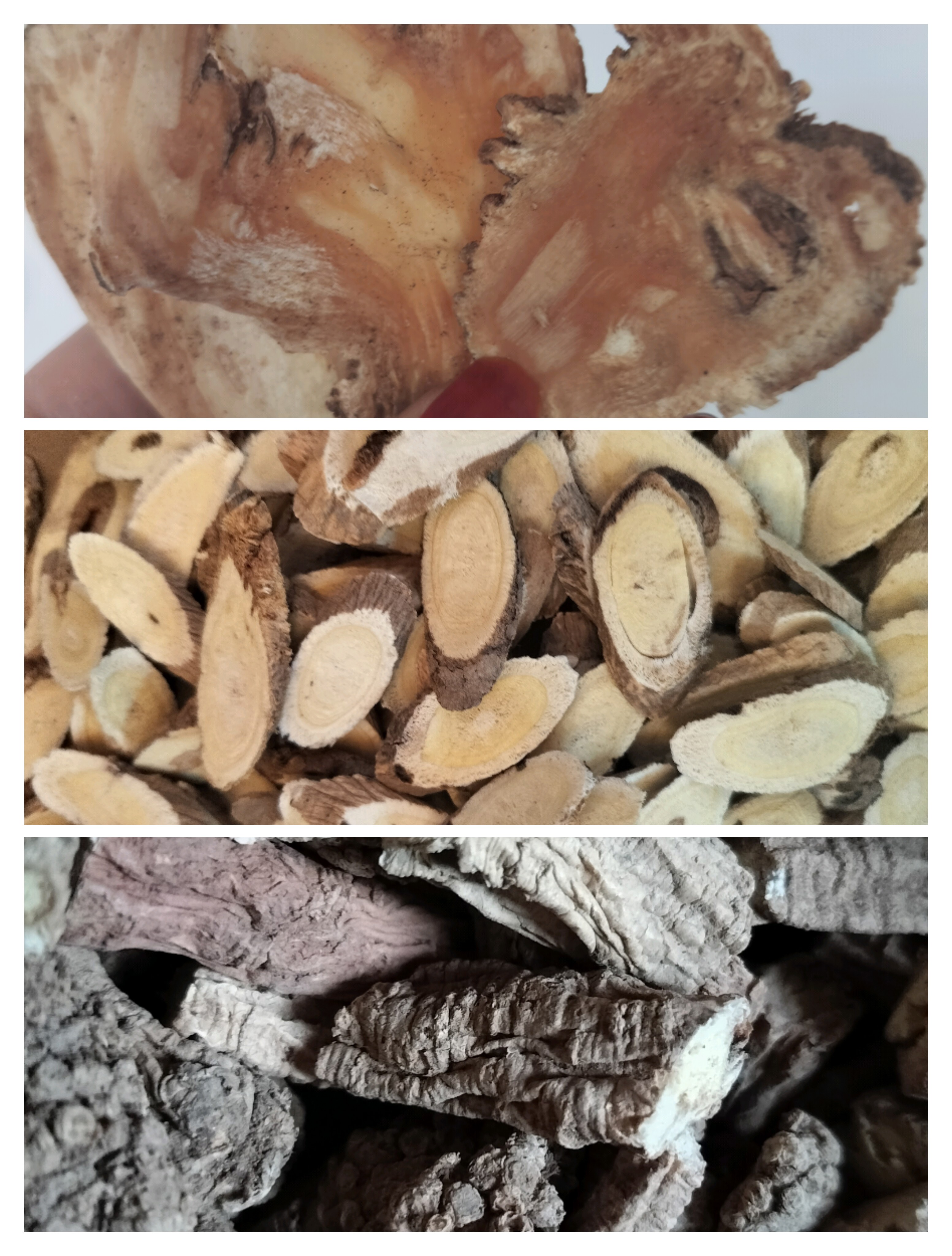 甘肃商原野生黄芪，党生，当归头片各100克