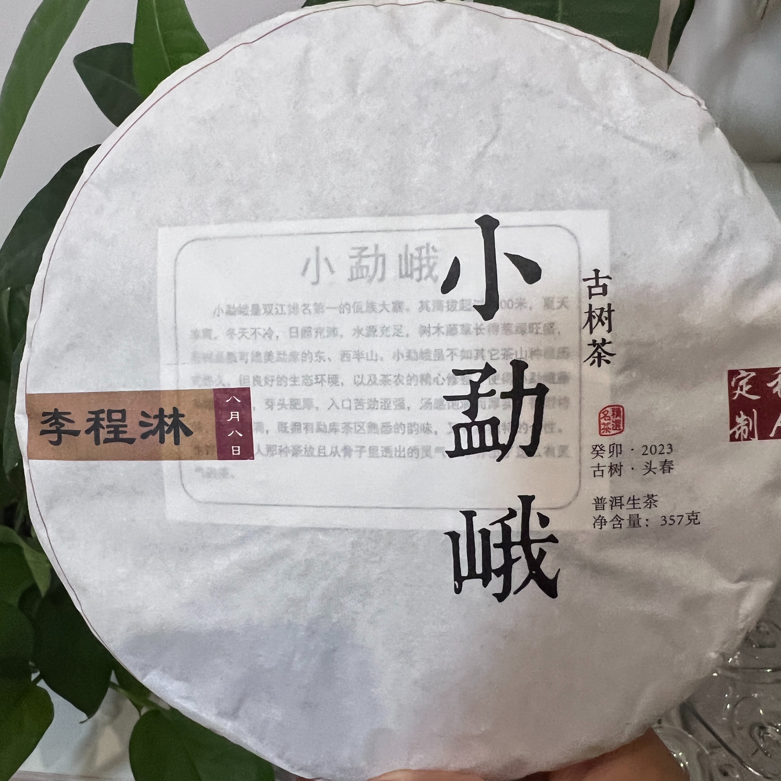 高品质357克2023年头春头采古树藤条一饼