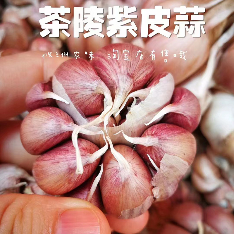 湖南特产 茶陵紫皮大蒜 新鲜干蒜 红皮香蒜 可以做种子3斤包邮