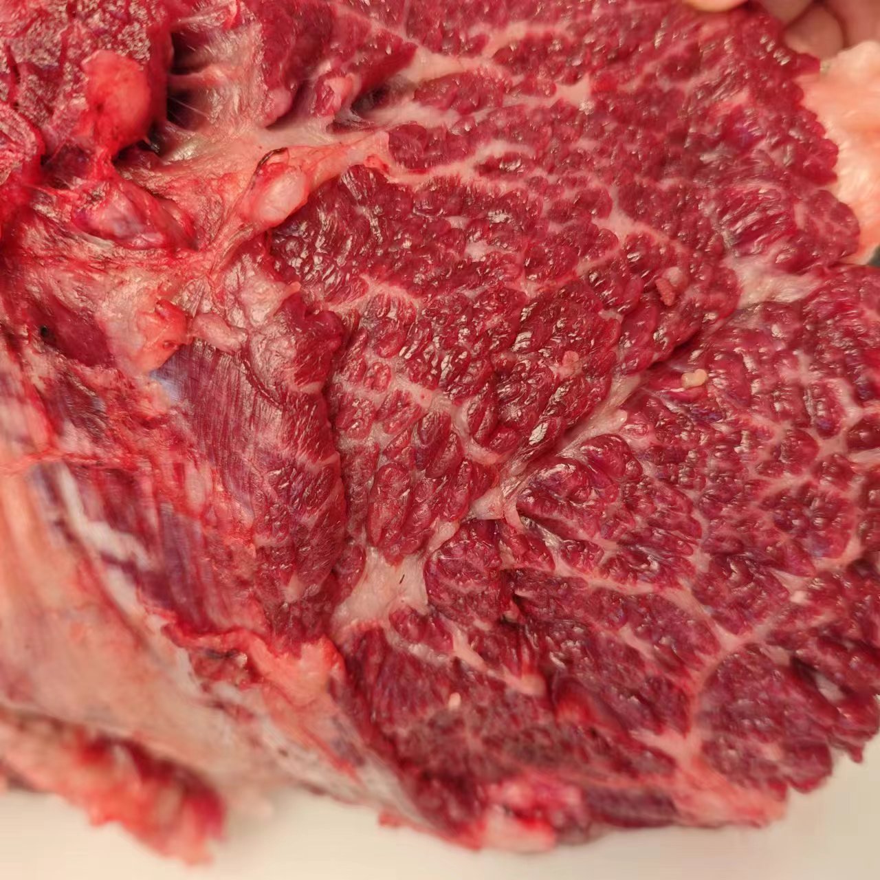 【雪花牛肉】正宗黄牛雪花牛肉