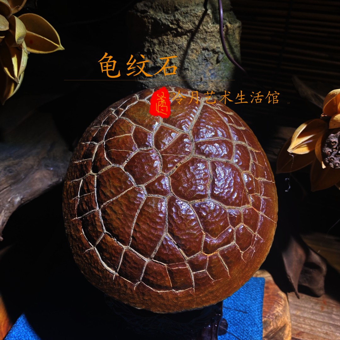 龟纹石家居摆件玄关书房茶桌中式禅意