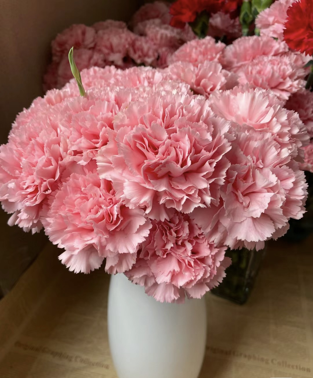 粉钻单头康乃馨任意2单或者以上包邮