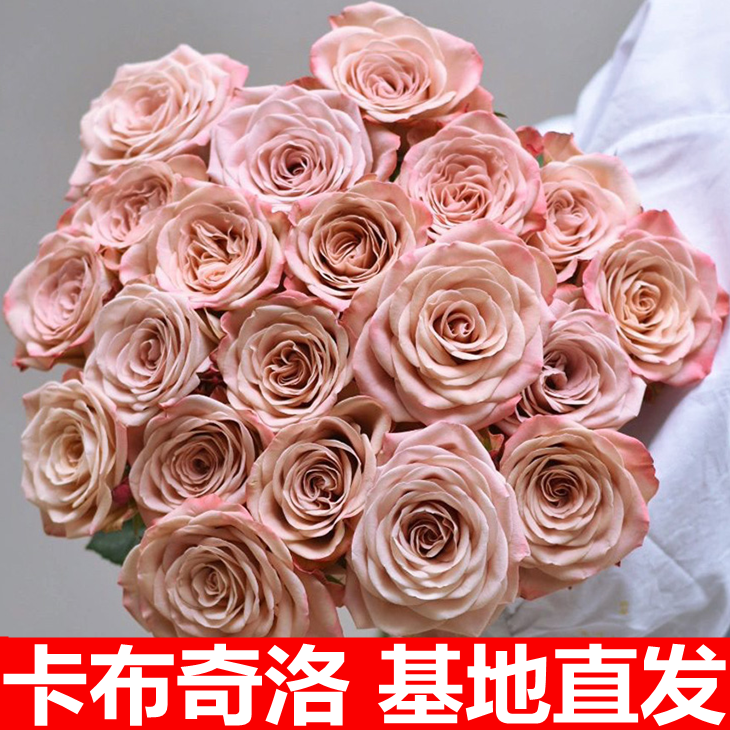 卡布奇诺玫瑰云南昆明基地直发斗南水养花母亲节送人礼物包邮百合