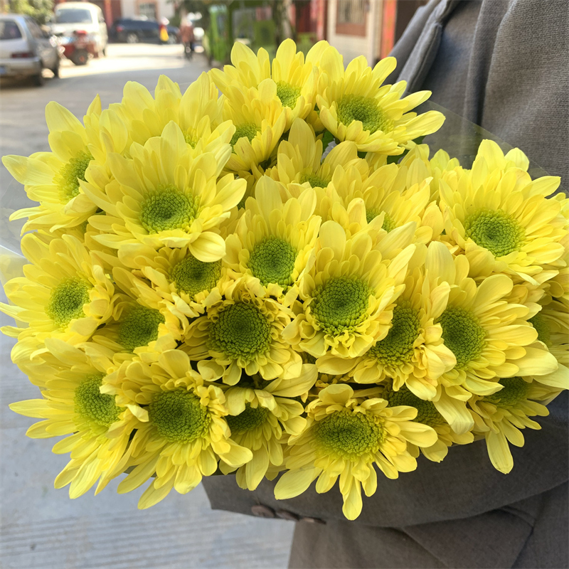 瑞黄小雏菊云南昆明基地直发同城速递玫瑰百合家庭插花妇女节花