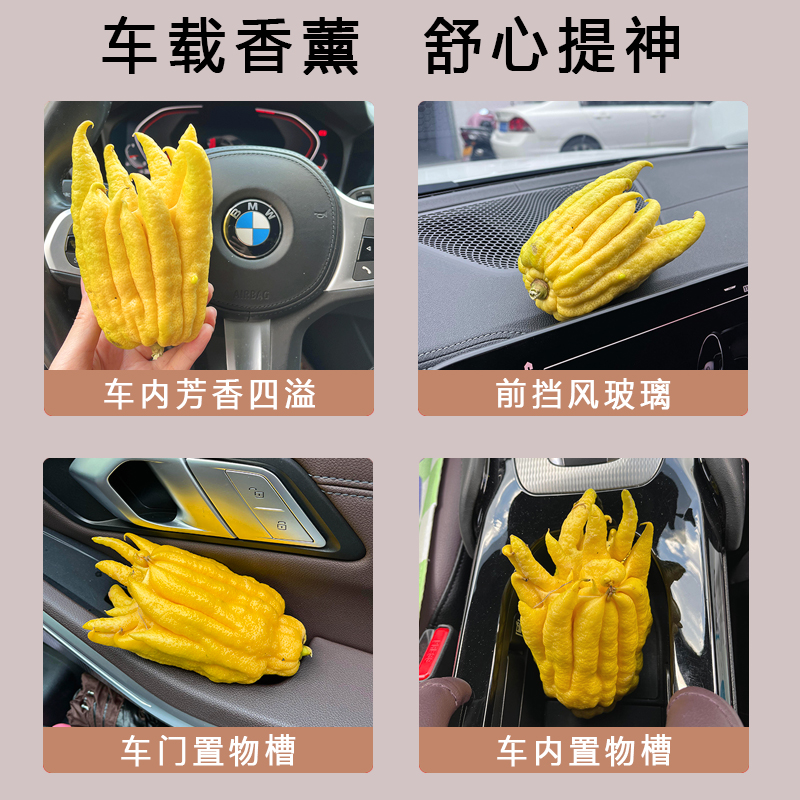 [车载香薰] 闻香黄佛手柑 天然香气 舒心提神