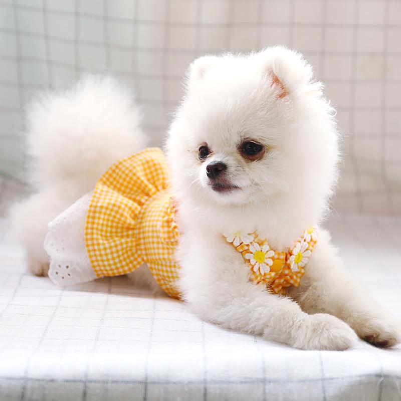 狗狗裙子泰迪比熊博美幼犬猫咪宠物秋季薄款迷你太阳裙狗衣服公主