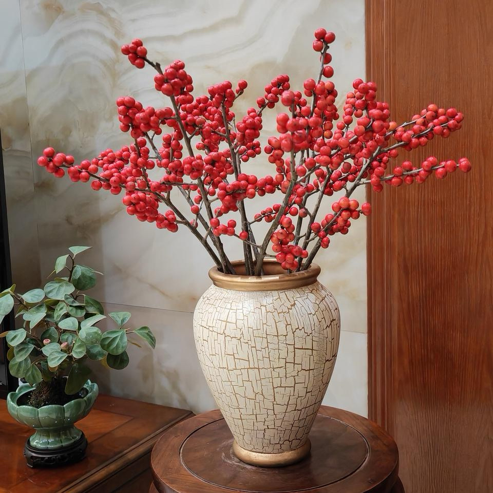 基地直发北美冬青发财果盆栽（掉果坏果属于正常）