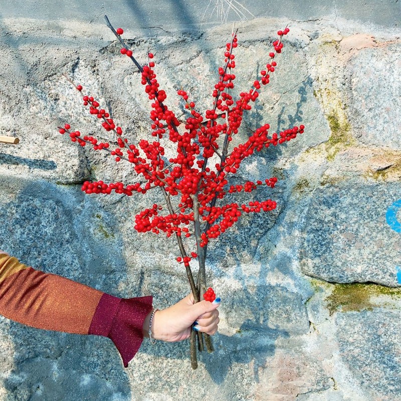  3A 北美冬青鲜切枝50-60cm 运输会有轻微掉果现象