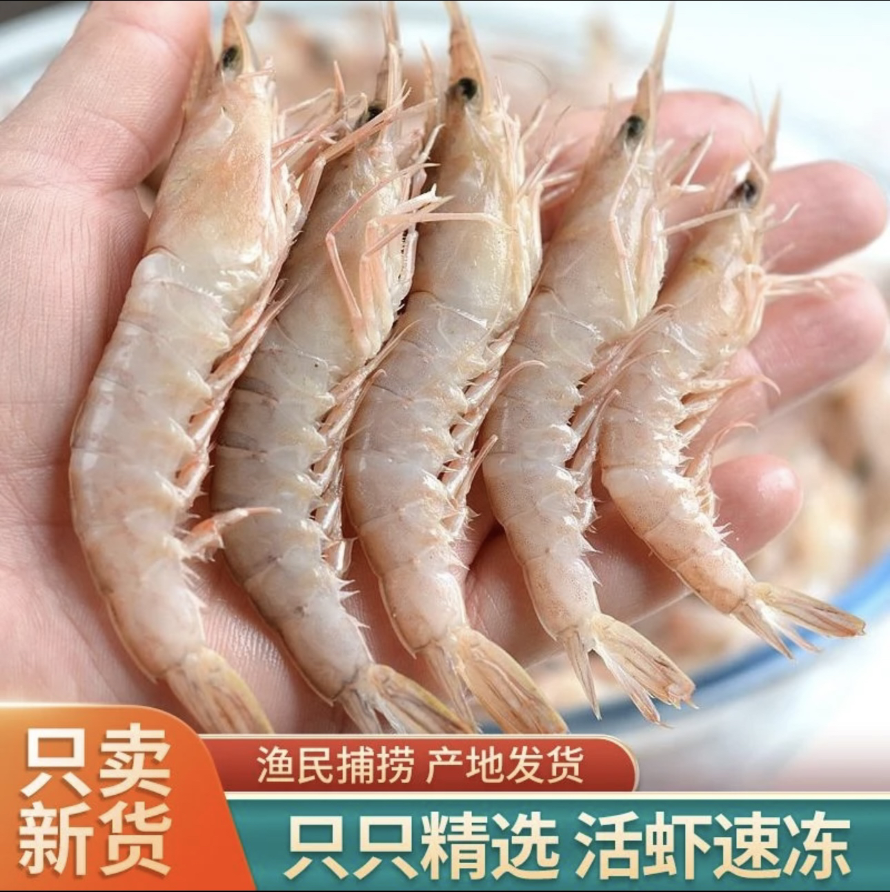 w小船蛎虾新鲜海捕鹰爪虾红虾（大小通货，易断头/黑头！介意勿拍）