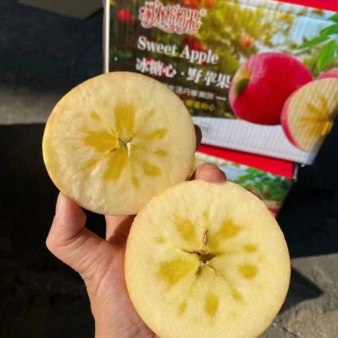 冰糖心苹果（中果）5斤/箱