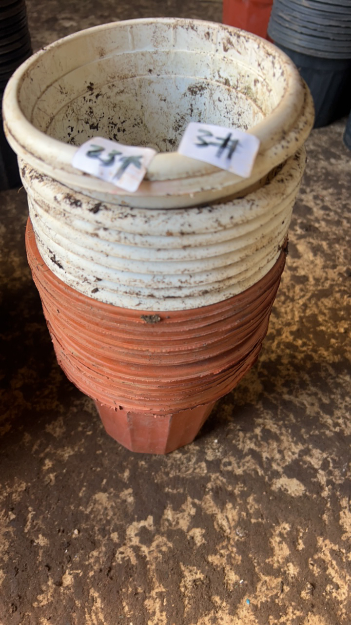 多肉旧花盆14cm左右红白混盆23个塑料