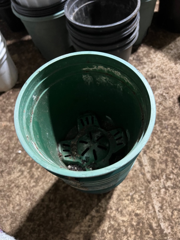 多肉旧花盆16cm绿加仑10个