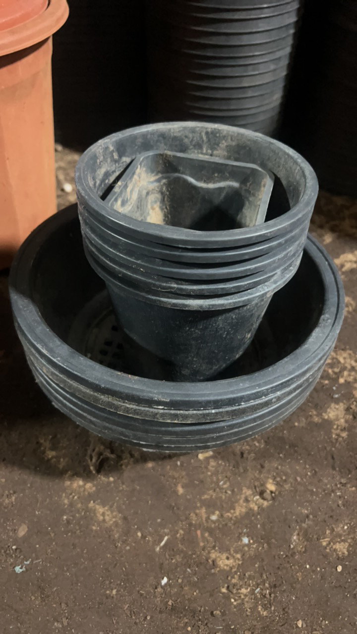 多肉旧花盆22cm黑色5个+6个韩国盆合计11个