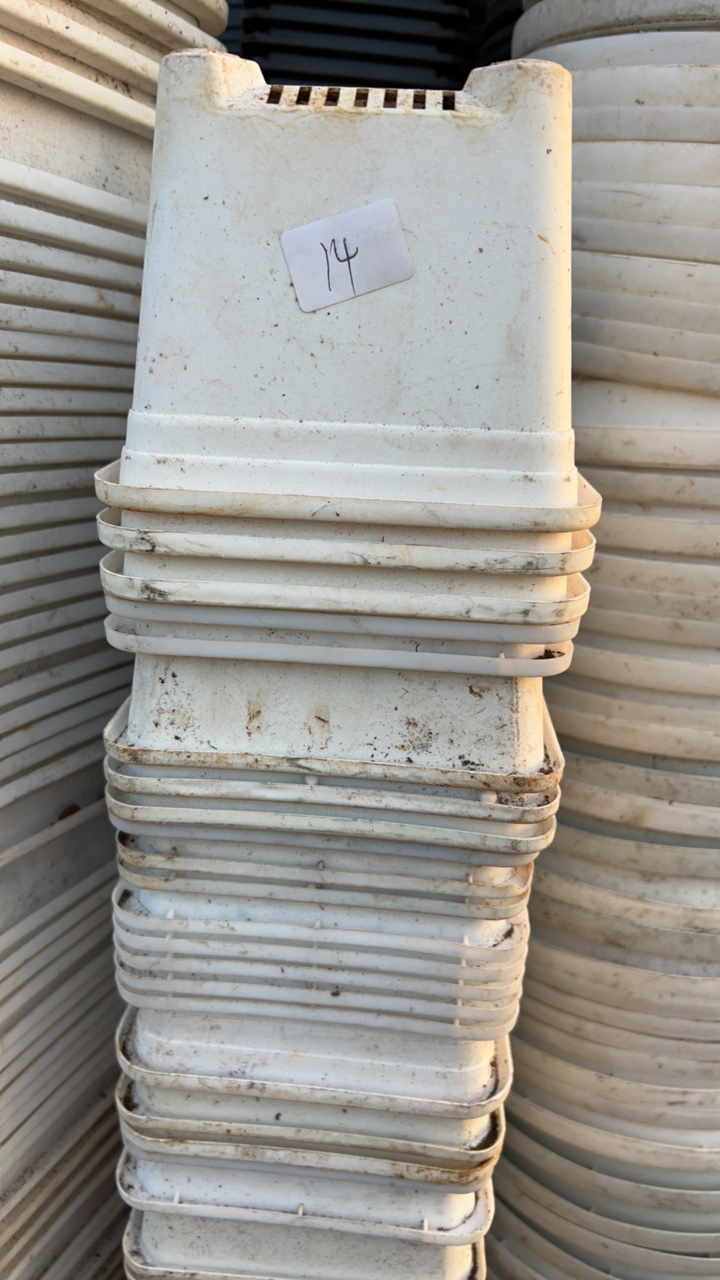 塑料旧花盆 白方盆14口径（10个）不参加活动